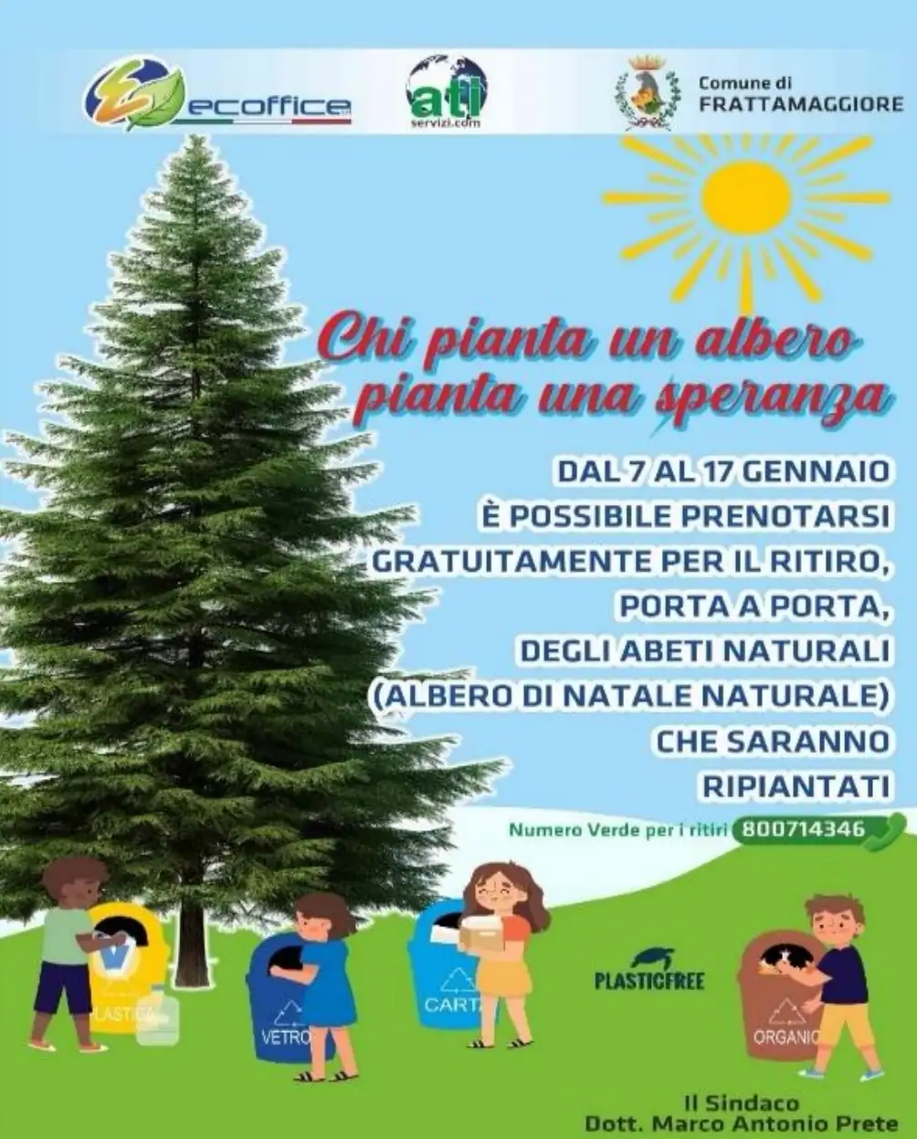 Raccolta Alberi Natalizi